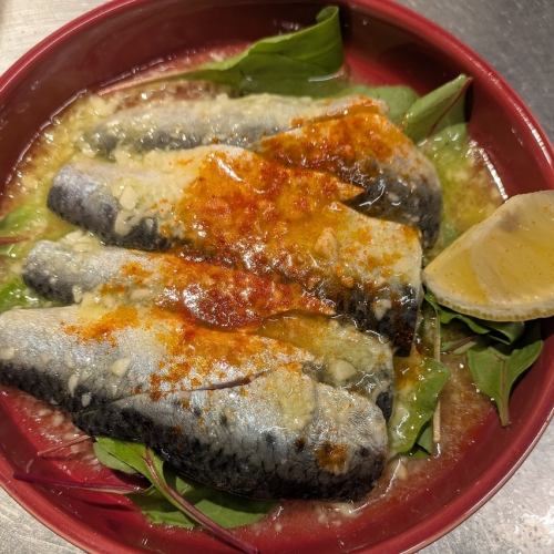 生イワシのマリネ