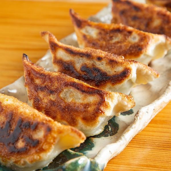 Fried wing dumplings
