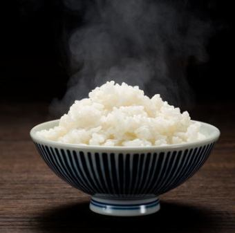 ご飯　中