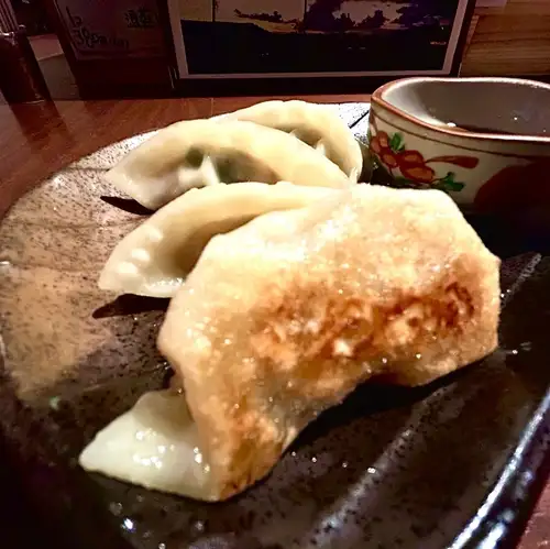 沖縄県産あぐー豚の焼餃子