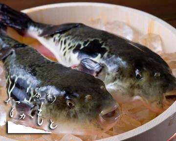 Luxury course with winter-limited “Awaji 3-year-old blowfish”