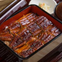 うな重 並(半身)