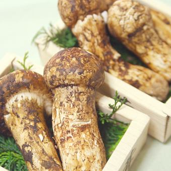 【松茸土瓶蒸し&御飯を入れた全8品！　期間限定コース】
