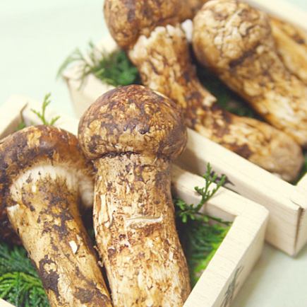 【松茸土瓶蒸し&御飯を入れた全8品! 期間限定コース】