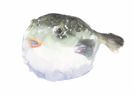 【冬の贅　虎ふぐコース】