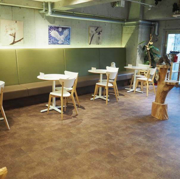[Cafe space] You can come in contact with adorable and unique owls in a stylish and spacious store.When you interact with the lovely owls, you will feel calm and healed as if time had stopped.Please relax and forget about your daily life and busy life.