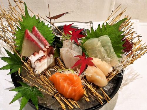 Assorted sashimi B