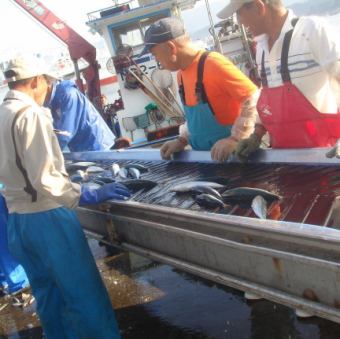 ※还备有爱媛县直送的野生鱼等其他菜单。
