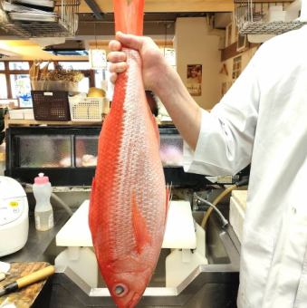 ハマ鯛（ハマダイ）　～三大高級魚のひとつ、鹿児島直送、究極の鮮度！～