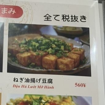 Fried tofu with green onions