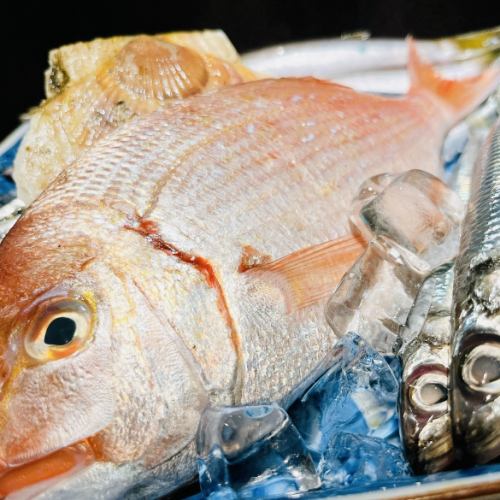新鮮なお魚を毎日仕入れ★