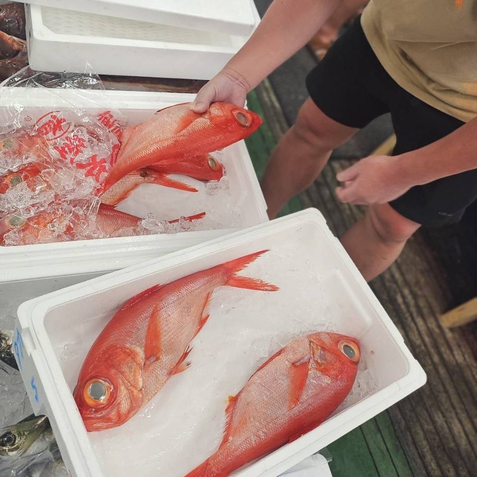 静岡地魚を存分に味わってください