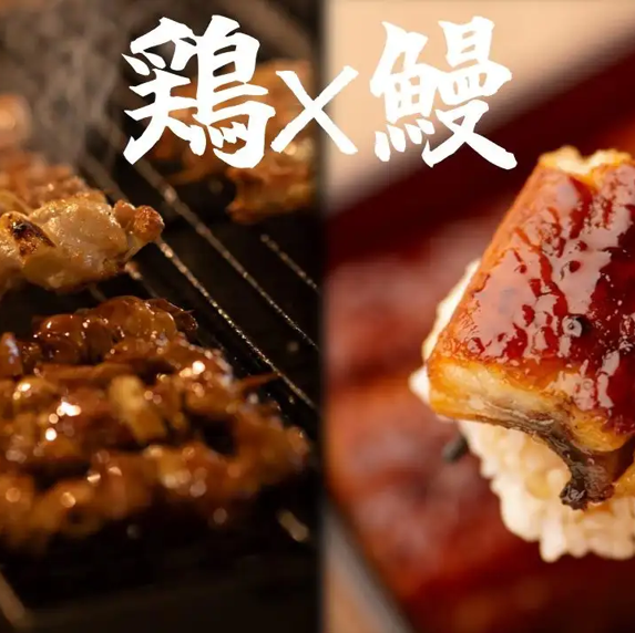 Enjoy Daisen chicken yakitori and large-sized eel