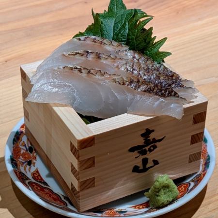 愛媛の真鯛