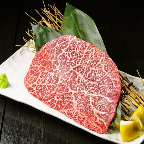 上赤身