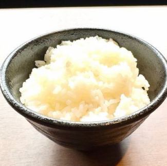 ライス