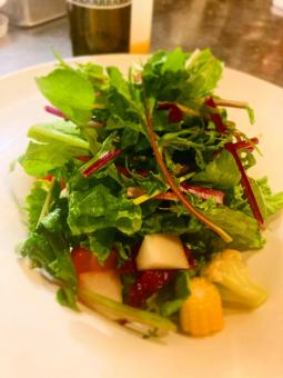 Green salad with lots of vegetables and fresh herbs