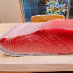 Medium Toro