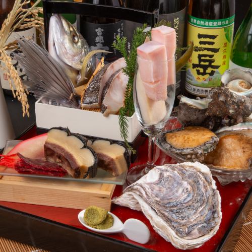 ≪季節の魚も筑後路のウリ!≫ 天然の魚介類 ¥1,500(税込)~