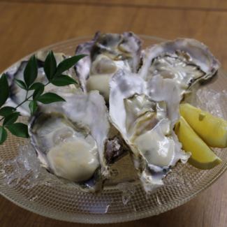 Directly delivered from Ako, Hyogo Prefecture! Raw oysters