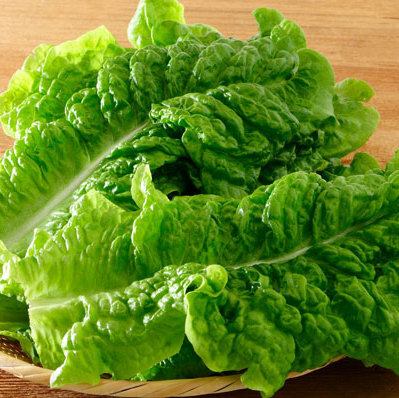 【おかわり】サンチュ