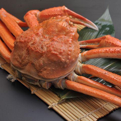 北海道より産地直送！本場ならではの新鮮な蟹をカウンター席で贅沢にご堪能頂けます。