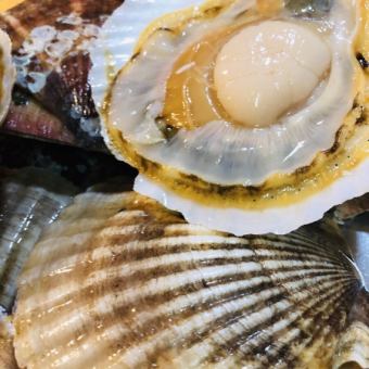 尾岱沼(おだいとう)産特大ホタテ！！今年も入荷しました！