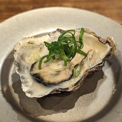 Grilled oysters in the shell