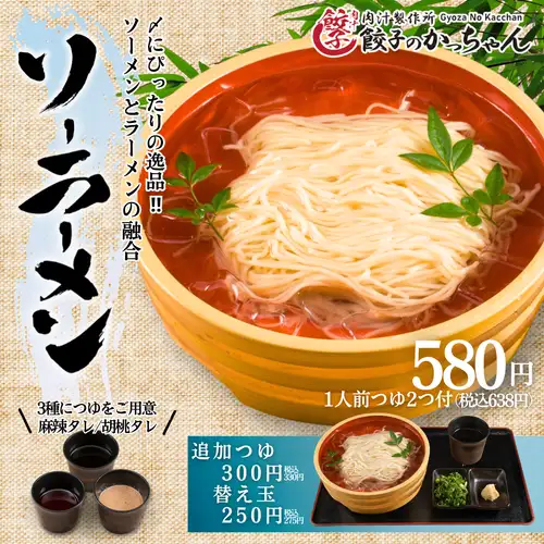 【期間限定！半額】580円→290円☆〆の逸品★ソーラーメン