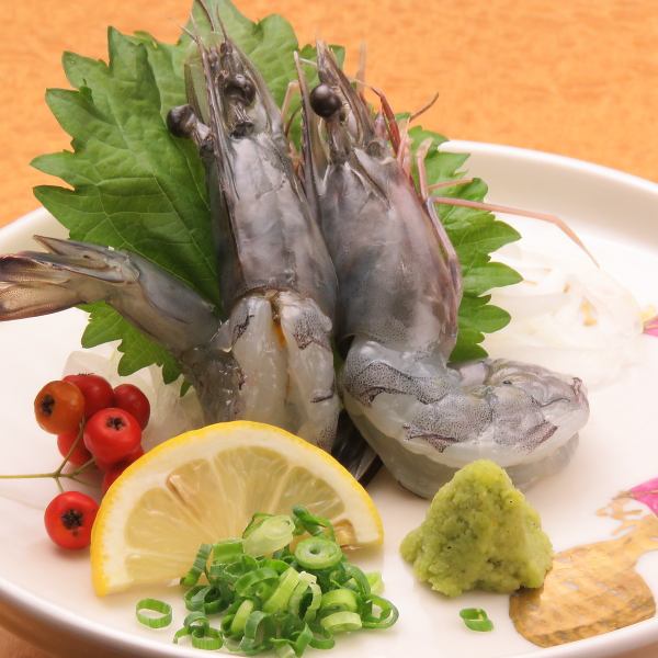 《Our recommendation》World's highest grade angel prawn sashimi