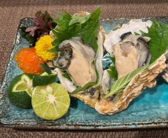 천연 이와 굴 (시기