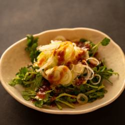 Cilantro and green onion salad