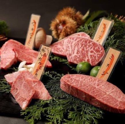 【2H飲み放題付りんぎゅう肉コース】肉中心！！料理全12品 6600円（税込）2～7名様