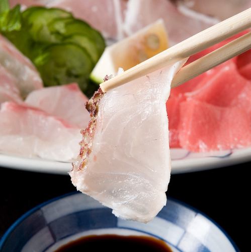 Daily sashimi * You can choose from various options!