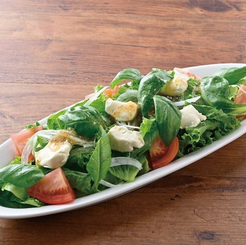 Italian salad with fresh cheese and basil