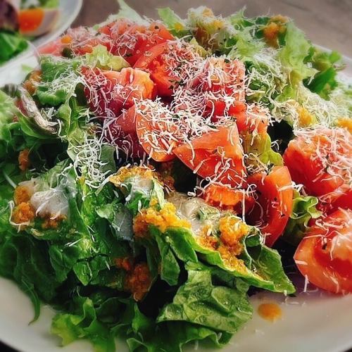 Green salad with fresh tomatoes and parmesan