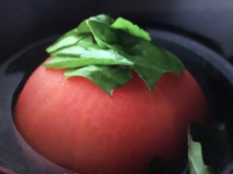 成熟的番茄罗勒的Seoden