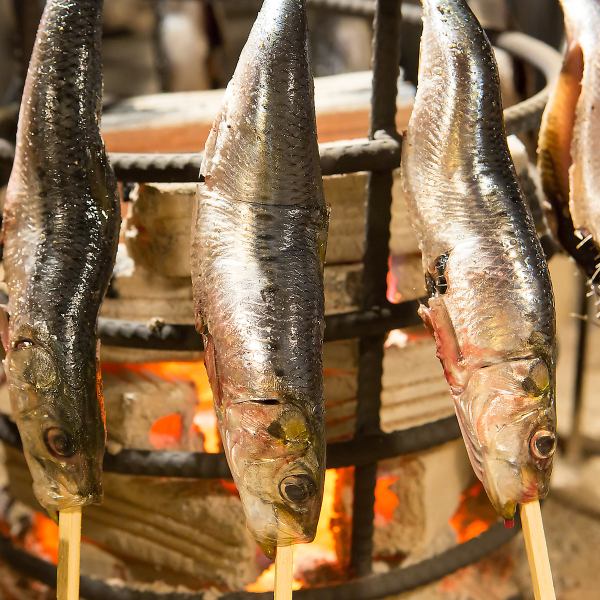 [Tenjin Nabe Course] Enjoy a total of 8 dishes, including extra large fatty sardines and Harihari Nabe!