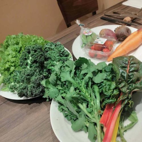 We received vegetables full of love and care from Hyuga City, Miyazaki Prefecture.
Each one is wonderfully sweet and truly delicious.
Please also try the delicious vegetables from Miyazaki Prefecture!
#MiyazakiPrefectureIngredients #FunabashiDinner #FunabashiBistro #BistroInContro