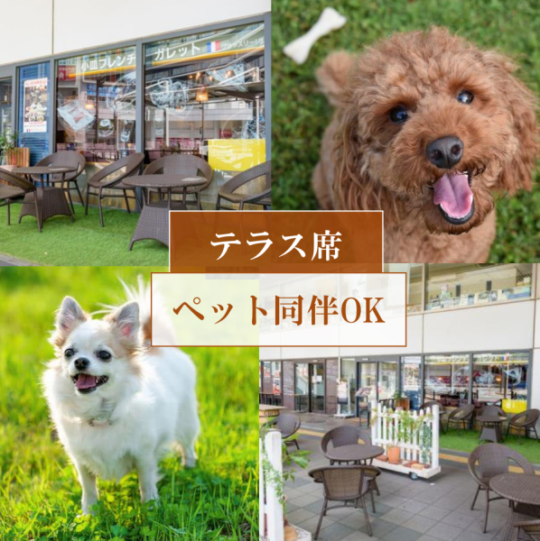 [Pets are allowed on the terrace seats] Pets are welcome on the open terrace seats. Pets are rarely allowed in the Chiba area, so it's a pleasant space.