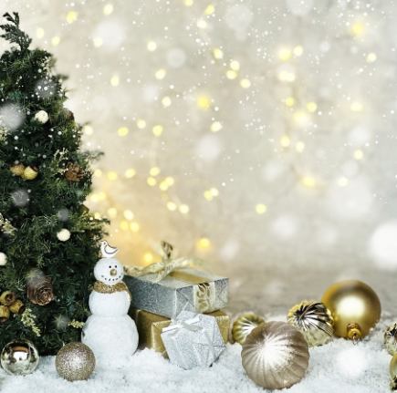 クリスマスディナー