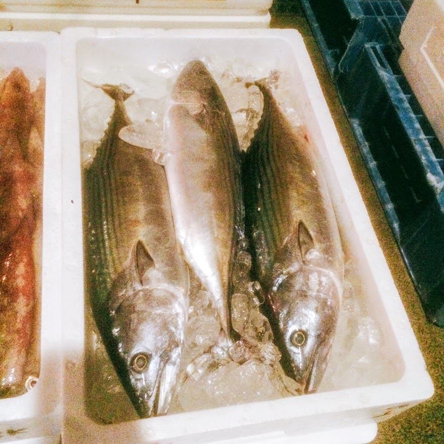 我们提供当天早上捕获的新鲜海鲜。