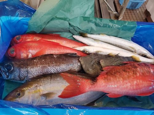 旬の魚を味わう