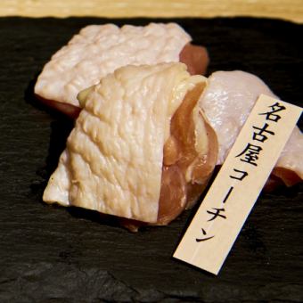 나고야 코친 (일본 삼대 대지 닭)