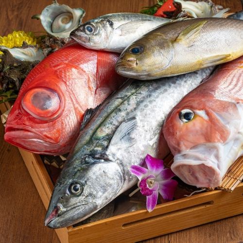 産地直送!海の幸、山の幸