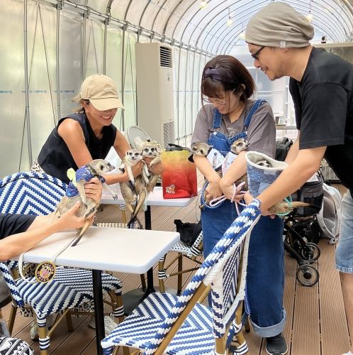 露台座位，欢迎携带宠物犬！