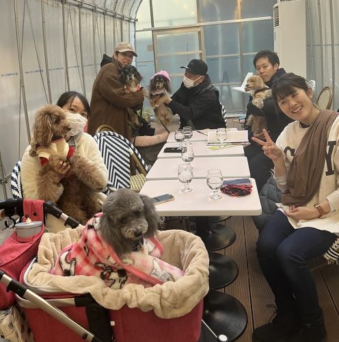 多花时间陪伴你的宠物