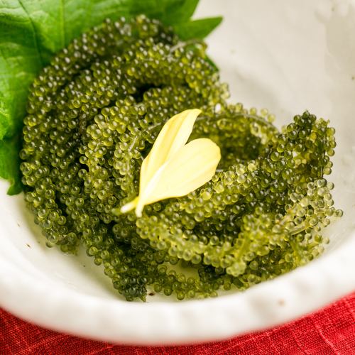 沖縄産海ぶどう