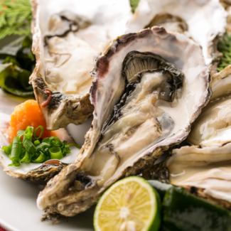 かき三昧 刺し(1個)