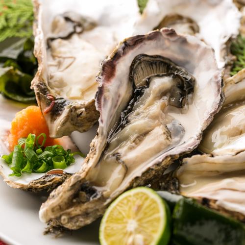 かき三昧 刺し(1個)